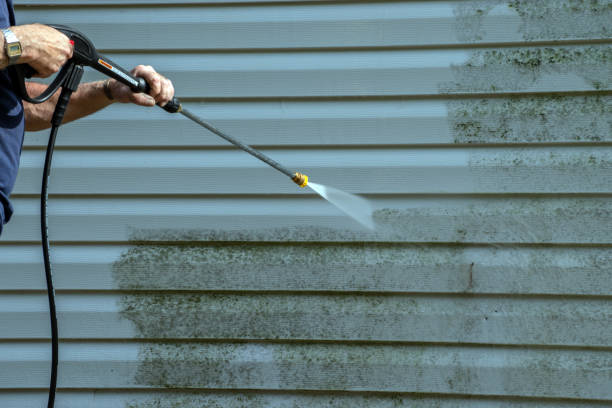 Best Driveway Pressure Washing  in Boone, IA